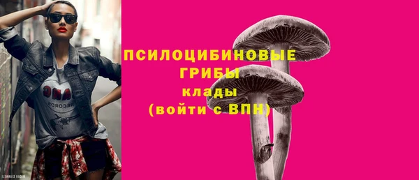 Альфа ПВП Усинск