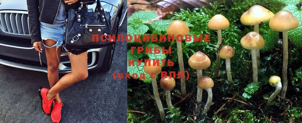 Альфа ПВП Усинск
