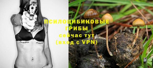 Альфа ПВП Усинск