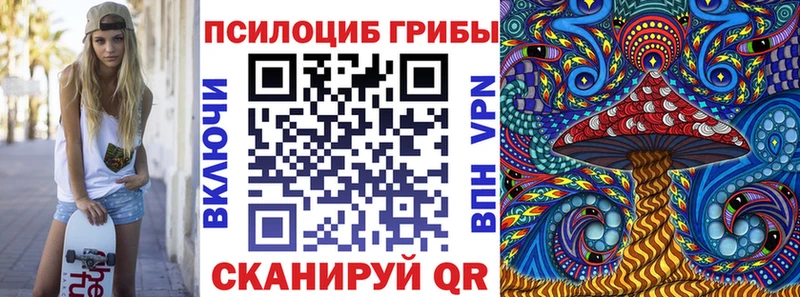 Псилоцибиновые грибы Psilocybe  гидра tor  Староминская  наркота 