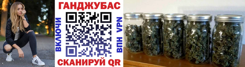 Бошки Шишки семена  Староминская 